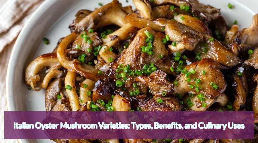 Italian Oyster Mushroom: A Delicious Addition to Your Cuisine